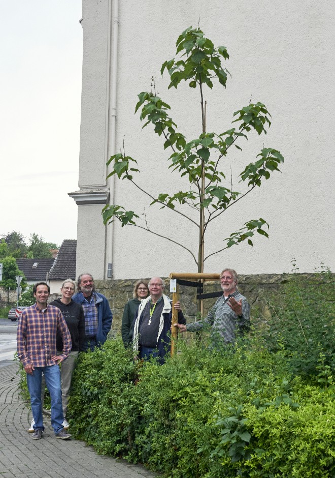 Einige Werler Grüne posieren vor dem neuen Blauglockenbaum am Kälbermarkt